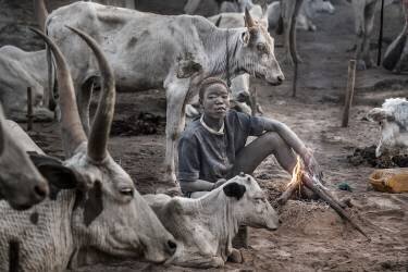 A scene of a Mundari cattle camp-II - South Sudan (Joxe Inazio Kuesta) - Muzeo.com