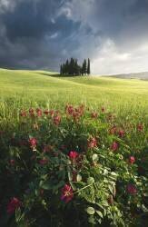 After the Storm (Daniele Ceravolo) - Muzeo.com