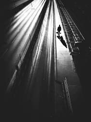 Alone (Selami Tas) - Muzeo.com