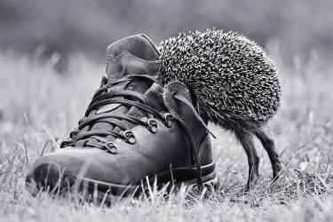 And suddenly it's my size? (Elena Solovieva) - Muzeo.com