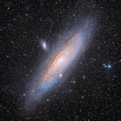 Andromeda (Vikas Chander) - Muzeo.com
