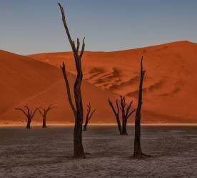 Arid (Luigi Ruoppolo) - Muzeo.com