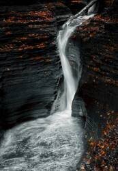 Autume (Larry Deng) - Muzeo.com