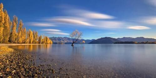 Autumn in Lake Wanaka (Hua Zhu) - Muzeo.com