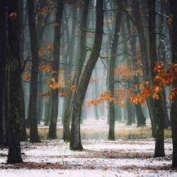 L'automne dans mon âme (Alexandra Fira) - Muzeo.com
