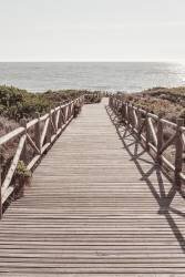 Beach 3 (1x Studio III) - Muzeo.com