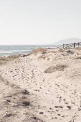 Beach 7 (1x Studio III) - Muzeo.com
