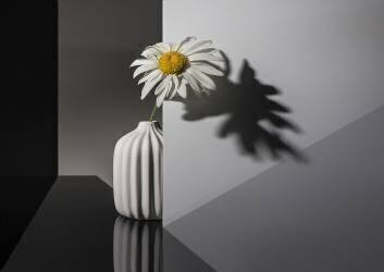Beautiful and lonely (Evgeniy Popov) - Muzeo.com