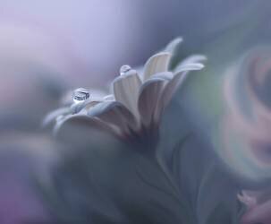 Behind Closed Eyes (Juliana Nan) - Muzeo.com
