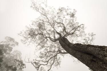 Between Heaven and Earth (Karsten Wrobel) - Muzeo.com