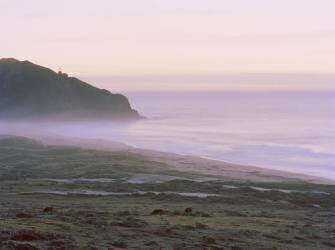 Big Sur (Carli Choi) - Muzeo.com