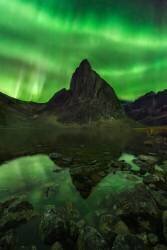 Blaze of Beauty (Chris Moore) - Muzeo.com