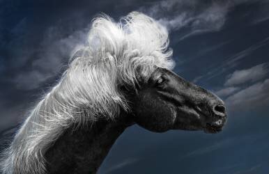 Blowing in the Icelandic Wind (Kenneth Zeng) - Muzeo.com