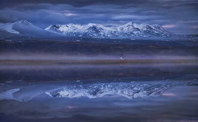 Blue silence (Peter Svoboda MQEP) - Muzeo.com