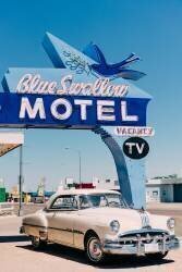 Blue Swallow Motel (Bethany Young) - Muzeo.com