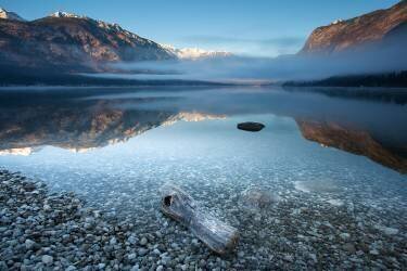 Bohinj's Tranquility (Bor) - Muzeo.com