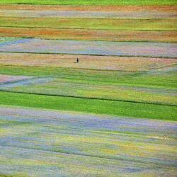 Castelluccio 5 (Massimo Della Latta) - Muzeo.com