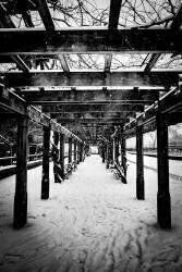 Central Park Winter (Guilherme Pontes) - Muzeo.com
