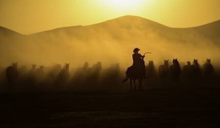 Chasing the Jades! (Yavuz Pancareken) - Muzeo.com