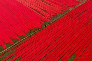 Childhood on red fabrics (Azim Khan Ronnie) - Muzeo.com