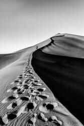 Climber (Mohammad Fotouhi) - Muzeo.com