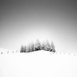 Cohésion (Alexej Schulz) - Muzeo.com