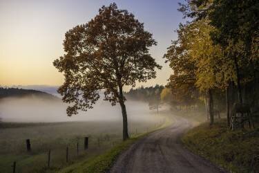Countryside vibes (Christian Lindsten) - Muzeo.com