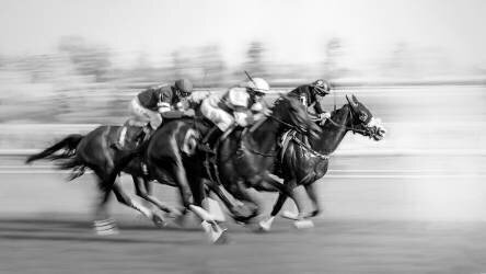 Courses de chevaux à Queen's Plate (little7) - Muzeo.com