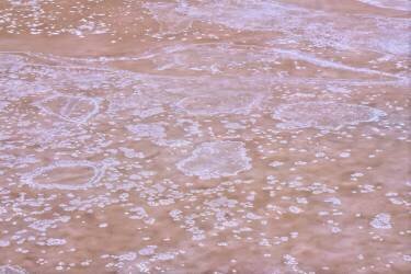 Crystallized salt in Puerto Real, Cadiz (Pedro Fructuoso) - Muzeo.com