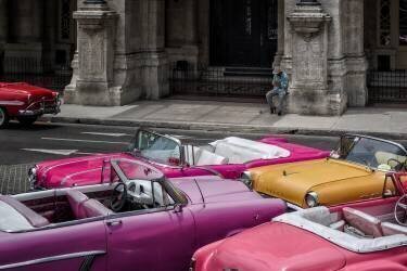 Cuban dream (Pavol Stranak) - Muzeo.com