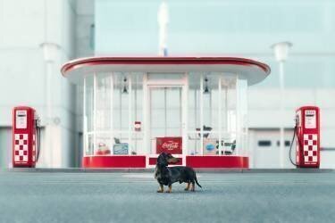 Der Tankwart (Heike Willers) - Muzeo.com