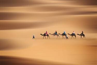 Desert caravan (Clas Gustafson) - Muzeo.com