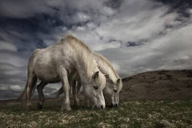 Deux ans plus tard (Bragi Ingibergsson) - Muzeo.com
