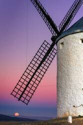 Don quixote's dream (Francisco Crusat) - Muzeo.com