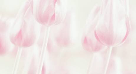 Douceur (Delphine Devos) - Muzeo.com