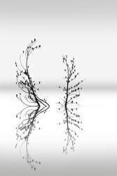Dreamland 03 (George Digalakis) - Muzeo.com