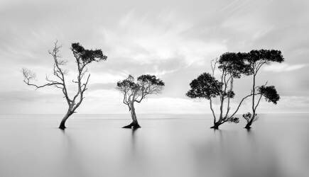 Drowning Not Waving (Steven Fudge) - Muzeo.com