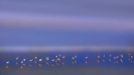 Early Morning (Phillip Chang) - Muzeo.com