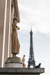 Eiffel Tower Paris (1x Studio III) - Muzeo.com