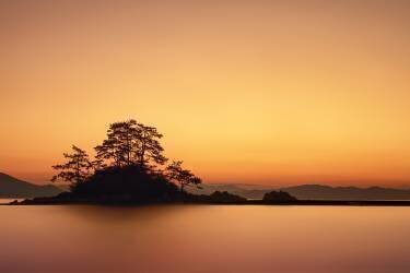 Île solitaire (Tiger Seo) - Muzeo.com