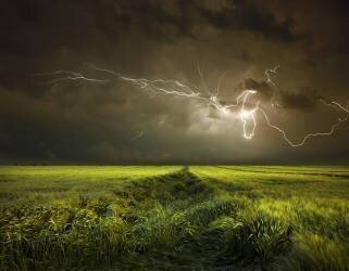 Electrically in Summer (Nicolas Schumacher) - Muzeo.com