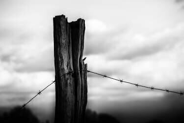 End of a Dream (Michael) - Muzeo.com