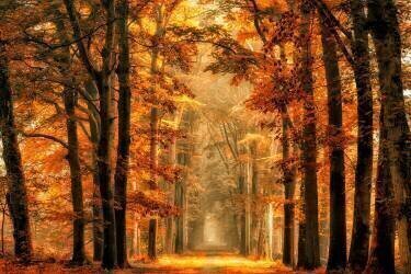 Exit the Portal (Lars van de Wiel) - Muzeo.com
