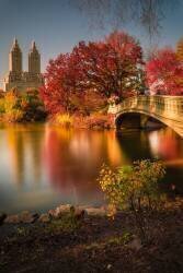 Fall in Central Park (Christopher R. Veizaga) - Muzeo.com