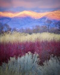 Field Layers (Kirbyturnage) - Muzeo.com