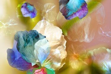 Floating petals (Ludmila Shumilova) - Muzeo.com