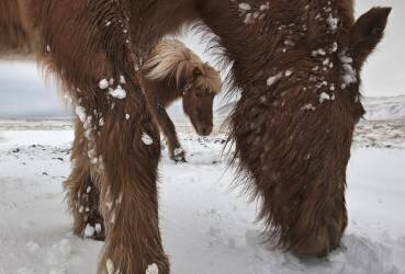 Framed by a friend (Bragi Ingibergsson) - Muzeo.com