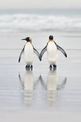 Friends (Joan Gil Raga) - Muzeo.com
