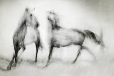 Frissons (Martine Benezech) - Muzeo.com
