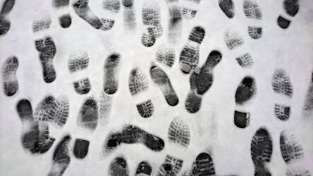 Empreintes dans la neige (Lothar M. Peter) - Muzeo.com